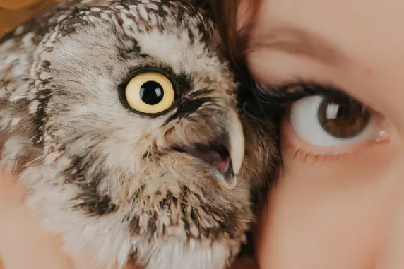 BoaBoa Casino Kundeservice